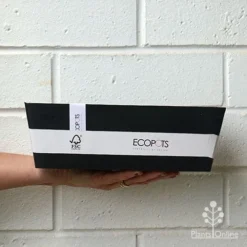 EcoPot Bruges - Dark Grey -NatureNest Shop apo ecopots bruges size