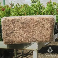 Sphagnum Moss 12L -NatureNest Shop apo sphagnum sun