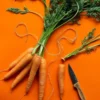 Carrot All Year Round - Seed
