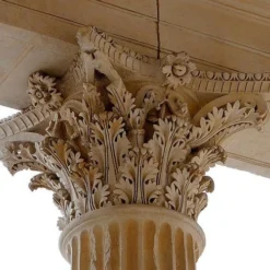 Acanthus Mollis - Oyster Plant -NatureNest Shop corinthian column