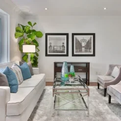 Ficus Lyrata - Fiddle Leaf Fig -NatureNest Shop fiddle leaf fancy room