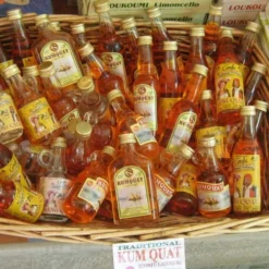 Citrus Japonica - Kumquat -NatureNest Shop kumquat liqueur