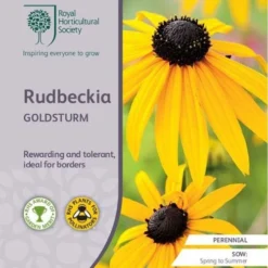Rudbeckia - Seed 5 Rudbeckia - Seed -NatureNest Shop rhs rudbeckia