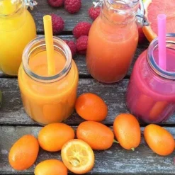 Citrus Japonica - Kumquat -NatureNest Shop smoothies kumquat 2