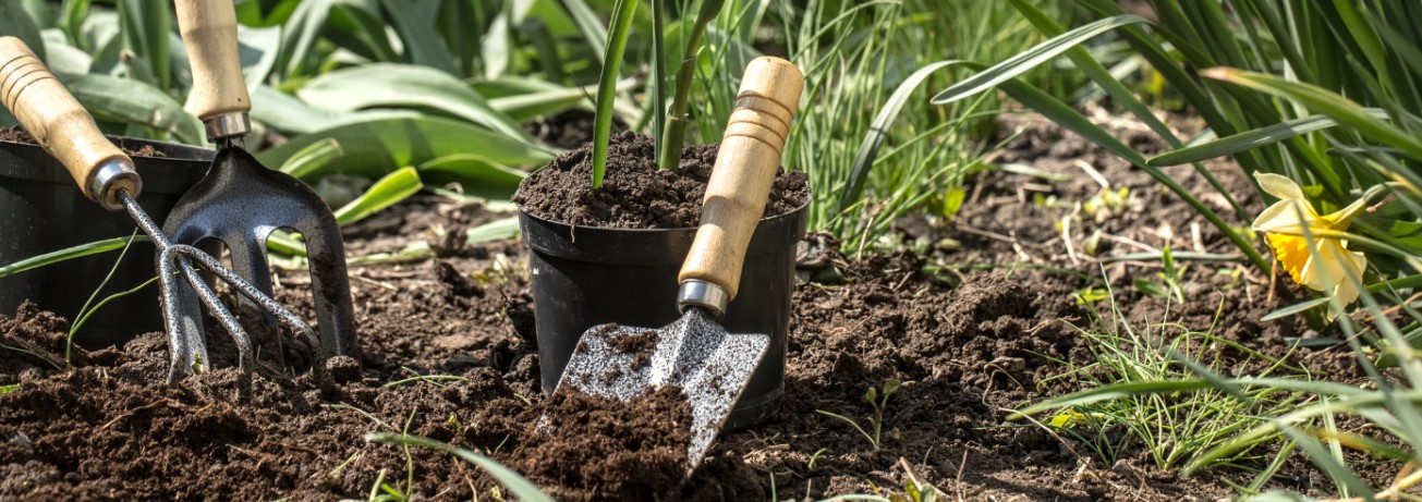 Garden Plants Sales Store 44 Garden Plants Sales Store -NatureNest Shop banner254.1